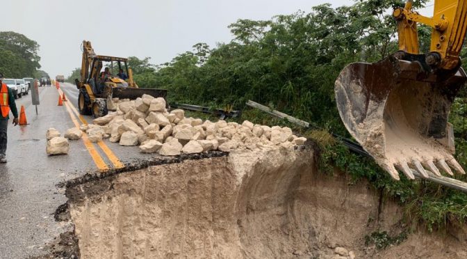 Fonatur Niega que Tren Maya pueda desencadenar un Ecocidio al Sureste de México (Indigo)