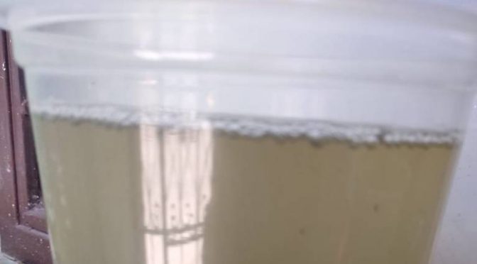 Morelos: Vecinos de Civac reportan contaminación en el agua potable (El Sol de Cuernavaca)