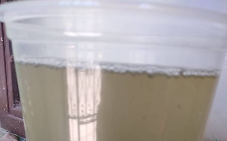 Agua
