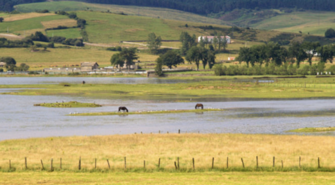España: Agua, solidaridad y racionalidad (El Ágora)