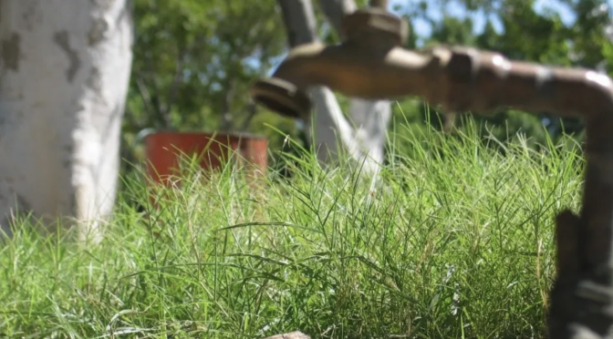 Sonora: 350 colonias de Hermosillo están sin servicio de agua potable o tienen baja presión (El Imparcial)