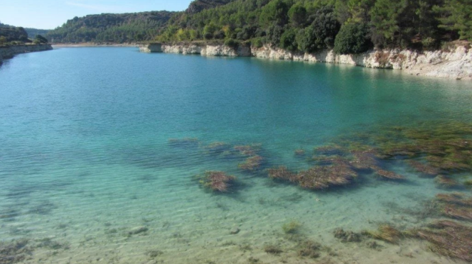 España: El agua: caudal de vida, motor económico, soporte de ecosistemas naturales y eje vertebrador de Castilla-La Mancha (Agrodiario)