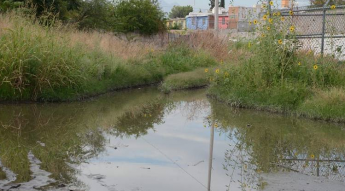 Chihuahua: Agua estancada se forma cada que llueve y se convierte en foco de infección (El Heraldo de Chihuahua)