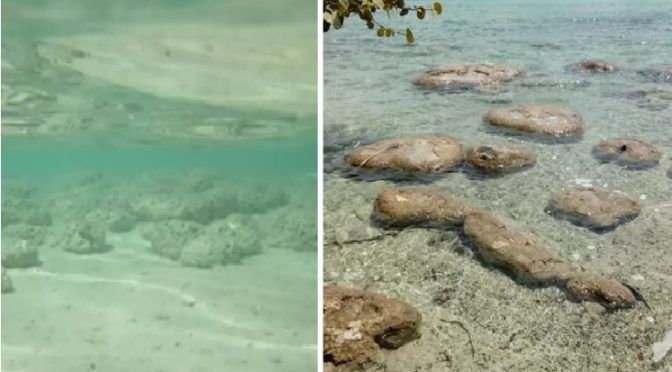 Quintana Roo: Laguna de Bacalar está perdiendo el esplendor de sus 7 tonalidades, revela estudio de la UNAM. (elfinanciero.com.mx)