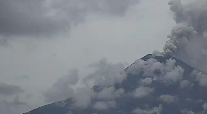 11 alcaldías pueden registrar caída de ceniza del Popocatépetl (Animal político)