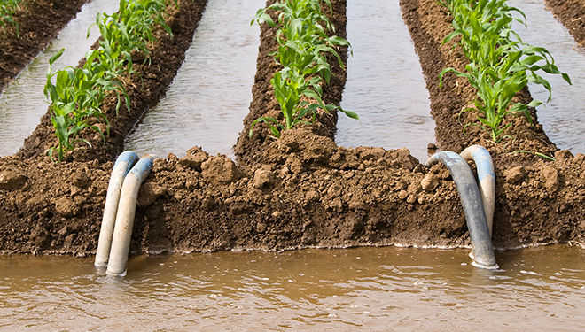 Riego agrícola con agua residual y sus implicaciones en la salud. Caso práctico (artículo) – XXVIII Congreso Interamericano de Ingenieria Sanitaria y Ambiental AIDIS