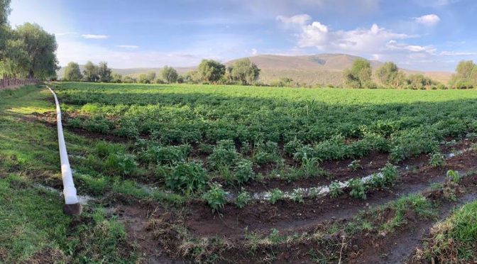 Modernizan presa Chilitas en beneficio del campo zacatecano (El Sol de Zacatecas)