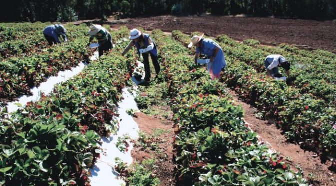 Chile: Cómo abordar la crisis del agua en una reactivación sostenible (El Mostrador)