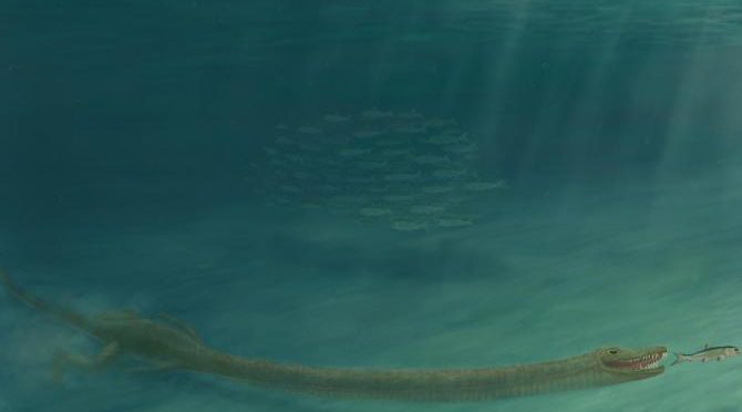 Su largo cuello ayudó a un reptil a cazar bajo el agua (Noticias de la Ciencia)