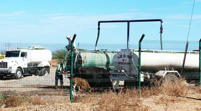 Baja California Sur: Confirman “Huachicol” de agua en La Paz; pipas rellenan agua de pozo agrícola para uso doméstico (El Independiente)