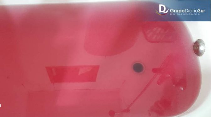 Agua fucsia en Llifén: Constructora entregó su versión (Diario futrono)