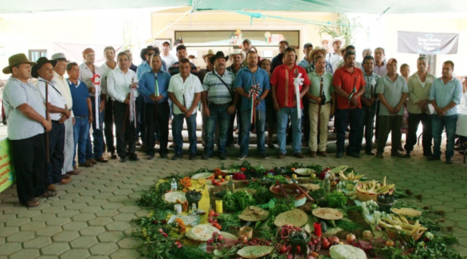 Oaxaca: Exigen a Conagua publicar decreto para garantizar agua a 16 pueblos zapotecas de Oaxaca (El Universal)