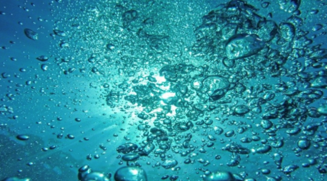 Cuidad del Vaticano: Consejo Mundial de Iglesias: 1 de septiembre, Conferencia sobre el agua (Vatican News)