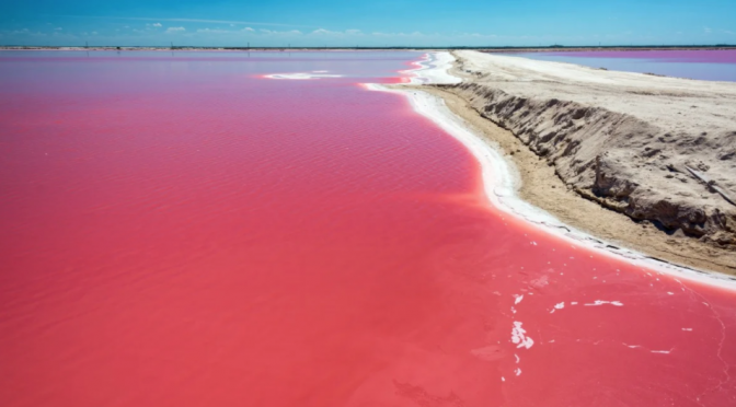 Yucatán: En Las Coloradas de Yucatán, ¿por qué el agua es rosa? (El Universal)