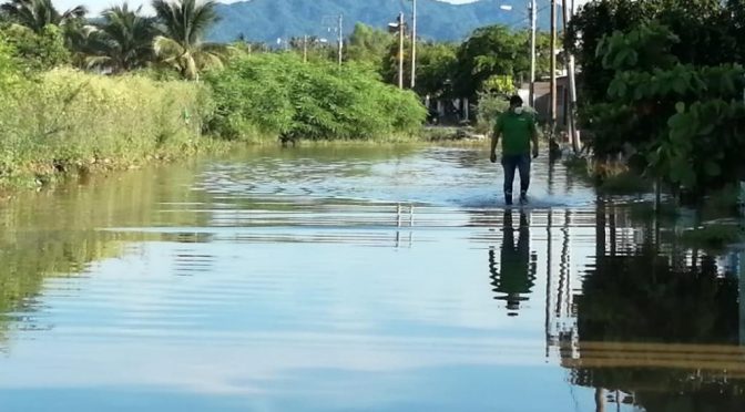 Vuelve la pesadilla a Palmares, familias se inundan otra vez (Tribuna de la bahía)
