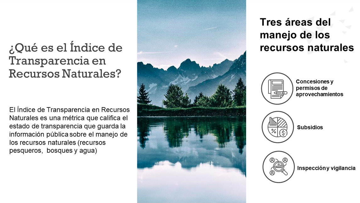 Índice de Transparencia en Recursos Naturales: El derecho a saber (Artículo) – Reforestamos México