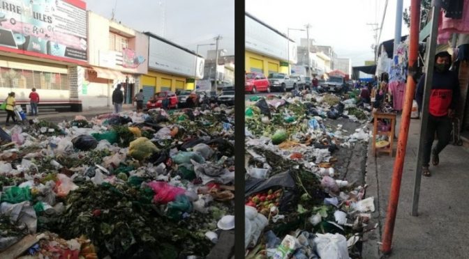 Puebla: Toneladas de basura y un agua con sangre contaminan Tehuacán. (El Popular)