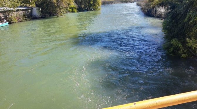 Chihuahua: Prácticamente concluida la entrega de agua para riego en los distritos del río Conchos (Omnia)