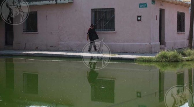 Sigue sin solución fuga de agua de drenaje en colonia de Juárez (El Diario de Chihuahua)