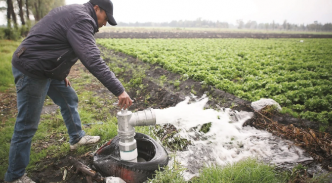 Chihuahua: Conagua concluye entrega de agua para riego en presas de Chihuahua (El Universal)