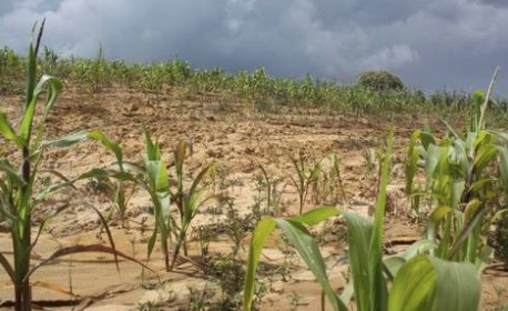 México: En defensa del derecho al agua (El Heraldo de México)