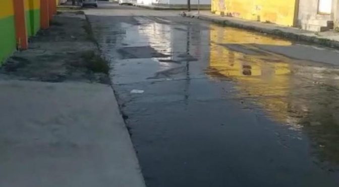 En pleno centro de Victoria llevan dos meses con fuga de agua (La Capital)