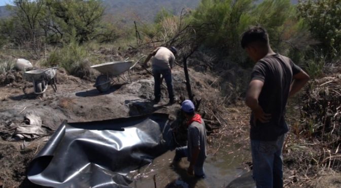 Ambientalistas denuncian amenazas de ‘huachicoleros’ de agua en Coahuila (Milenio)
