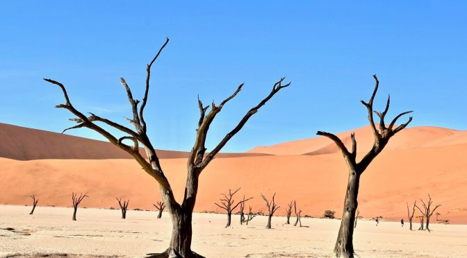 El sueño de extraer agua en el desierto con la única ayuda del sol empieza a convertirse en tecnología útil y accesible (Xataka)