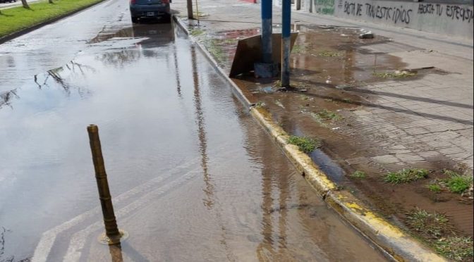 En 1 y 79 lamentan una filtración “mientras muchos no tienen agua” (El Dia)
