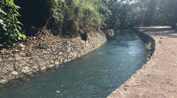 Veracruz: Acusan robo de agua en unidad de riego (Diario del Mundo)