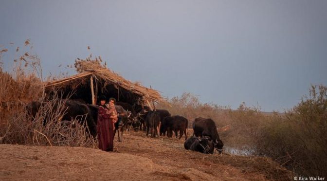 Medio Oriente: La construcción de presas agrava la escasez de agua en Medio Oriente (DW)
