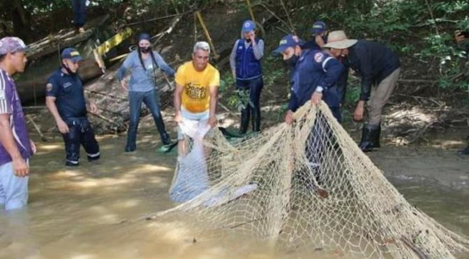 Colombia: Rescatan un delfín rosado encallado en aguas del caño Agua Limón, en Arauca (Info BAE)