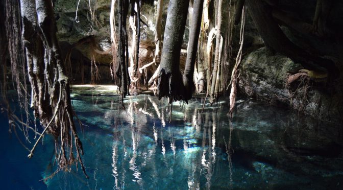 Yucatán: Cenote Xpakay aumenta su nivel de agua (Por Esto)