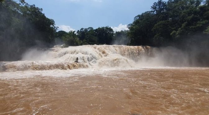 Chiapas: Gamma pinta de “chocolate” las Cascadas de Agua Azul en Chiapas (UNO TV)
