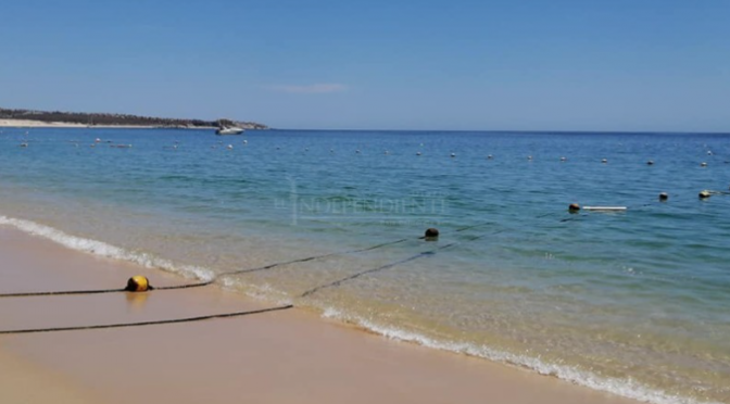 Baja California Sur: Las desaladoras de agua afectan al medio ambiente: Biólogo (El Independiente)