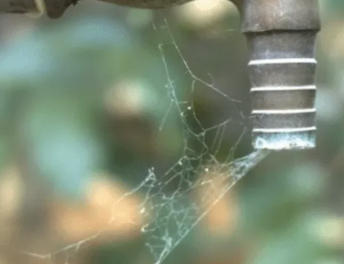 Sonora: Se agudiza escasez de agua en Nogales, bajan niveles de pozos ante las pocas lluvias de verano (El Imparcial)