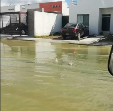 Yucatán: Tras paso de huracán en Mérida, brota agua de alcantarillas y deja inundaciones (El Universal)