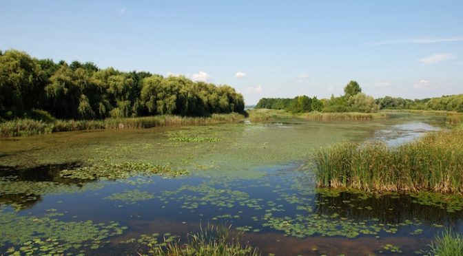 Chiapas: Ciudadanía impulsa iniciativa de una Ley Estatal de Aguas (Chiapas Paralelo)