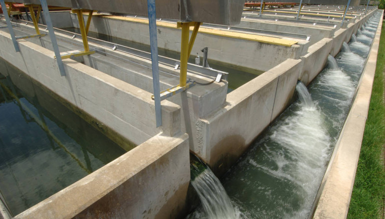 Estos son los 10 municipios que no tendrán agua por trabajos en Las Pavas (Diario1)