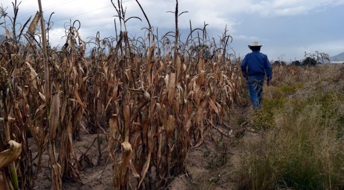 Empresas acaparan el agua afectando a cientos de campesinos en Puebla (ladobe)
