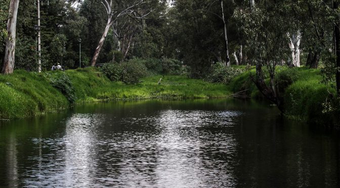 México: Pide el INAI que Conagua informe realidad de herbicidas en agua del país (am Querétaro)