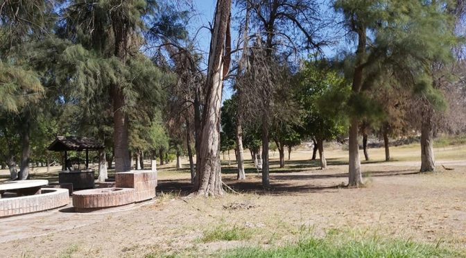 Club Campestre de Gómez Palacio se seca ante escasez de agua (Milenio)