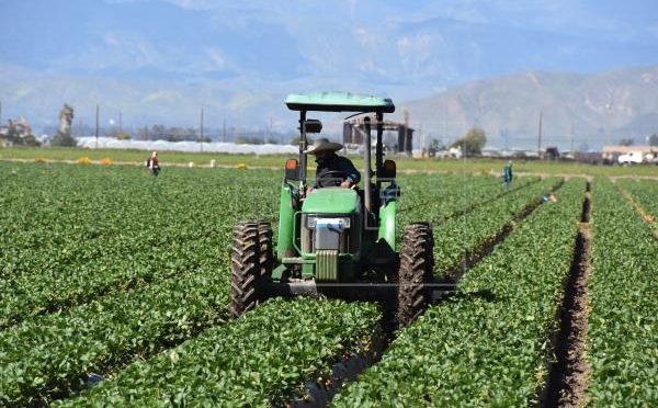 EE.UU.: Campesinos latinos de California sufren alto nivel de contaminación del agua (EFE)