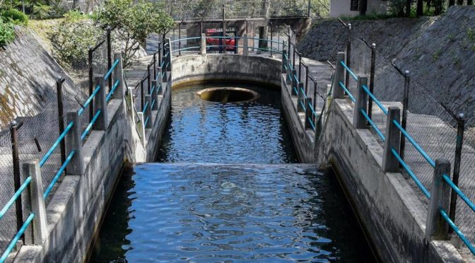 Rehabilitan estación hidrométrica en la Miguel Hidalgo; buscan detectar fugas (Milenio)