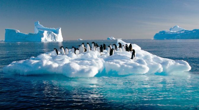 Científicos hallan microplásticos en el agua dulce de la Antártida (El Tiempo)