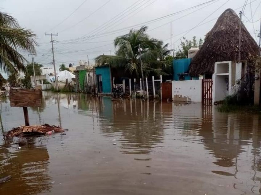 Agua