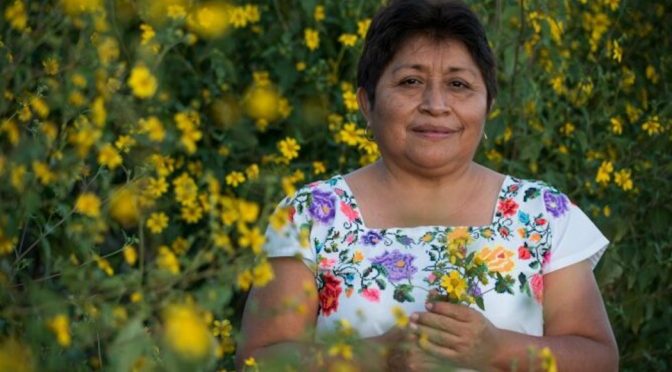 Leydy Pech, indígena maya que le puso un hasta aquí a Monsanto, gana premio ambiental global (Sin embargo)