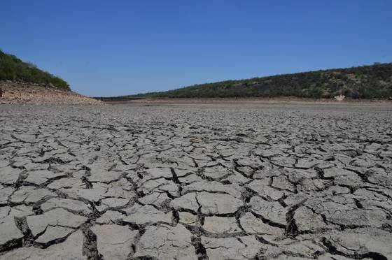 Amenaza escasez de agua a productores de Guanajuato (Noticias Vespertinas)