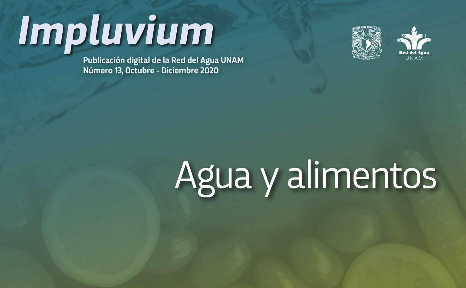 Impluvium- Agua y Alimentos (Red del Agua UNAM)