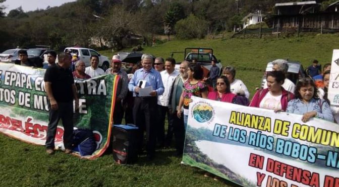 Veracruz: Ambientalistas no quieren micro presas (El Heraldo de Martínez)